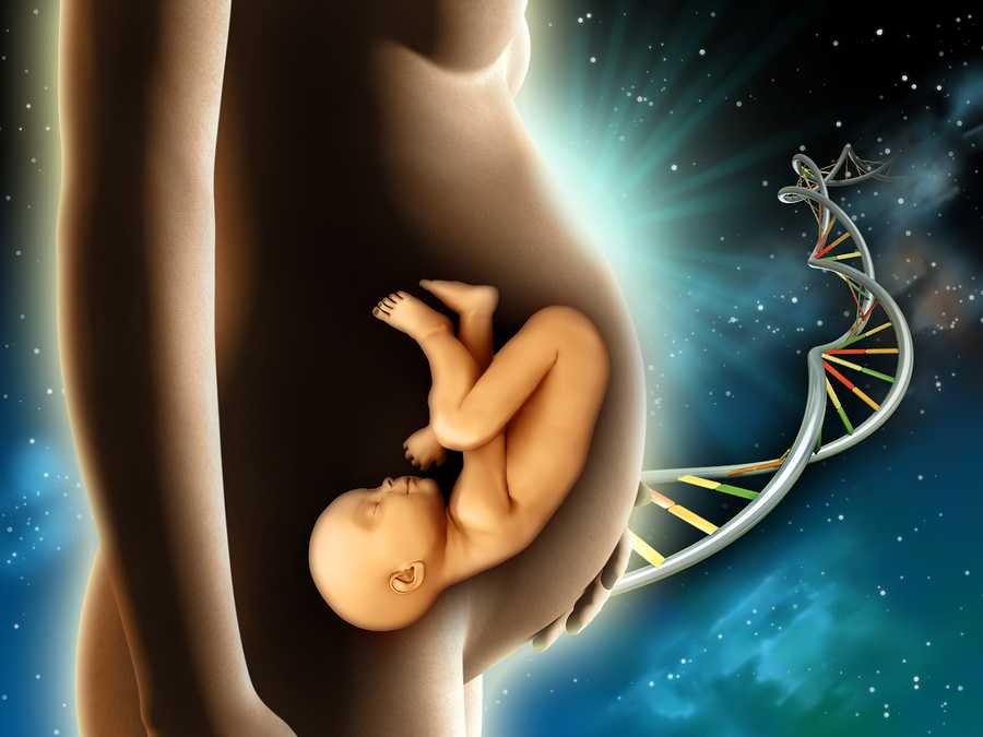 cover-image